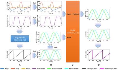 A gait phase prediction model trained on benchmark datasets for evaluating a controller for prosthetic legs